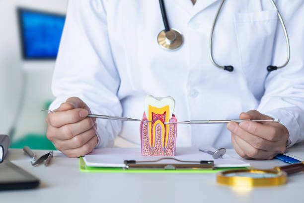 Best Emergency Dental Services for Seniors in Teague, TX